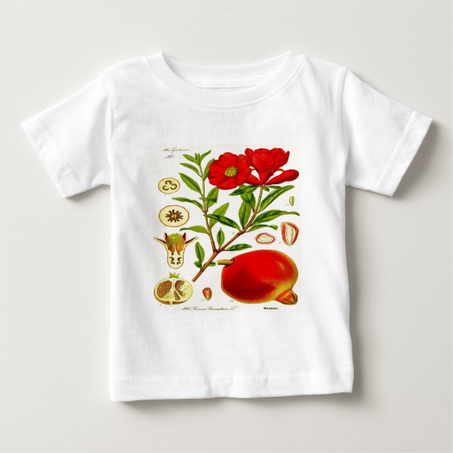 Camiseta Pomegranato (Frente)