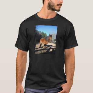 Camiseta Pônei marrom céu turquesa