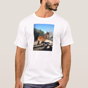 Camiseta Pônei marrom céu turquesa