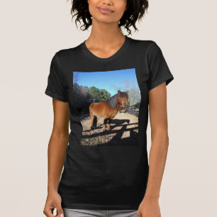 Camiseta Pônei marrom céu turquesa