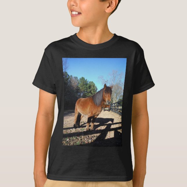 Camiseta Pônei marrom céu turquesa (Frente)