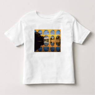 Camiseta Pont du Gard, Gardon River, Gard, Languedoc,