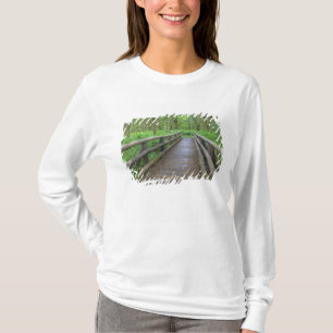 Camiseta ponte de madeira da trilha Maple Glade, samambaias