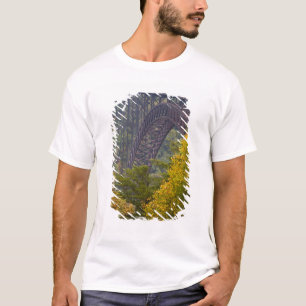 Camiseta Ponte New River Gorge, New River Gorge