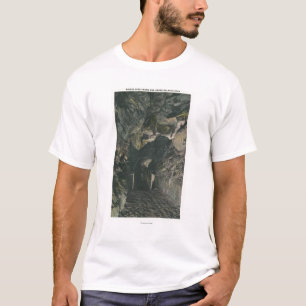 Camiseta Ponte sob a opinião da rocha do equilíbrio