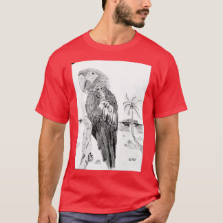 Camiseta ponto 27 2