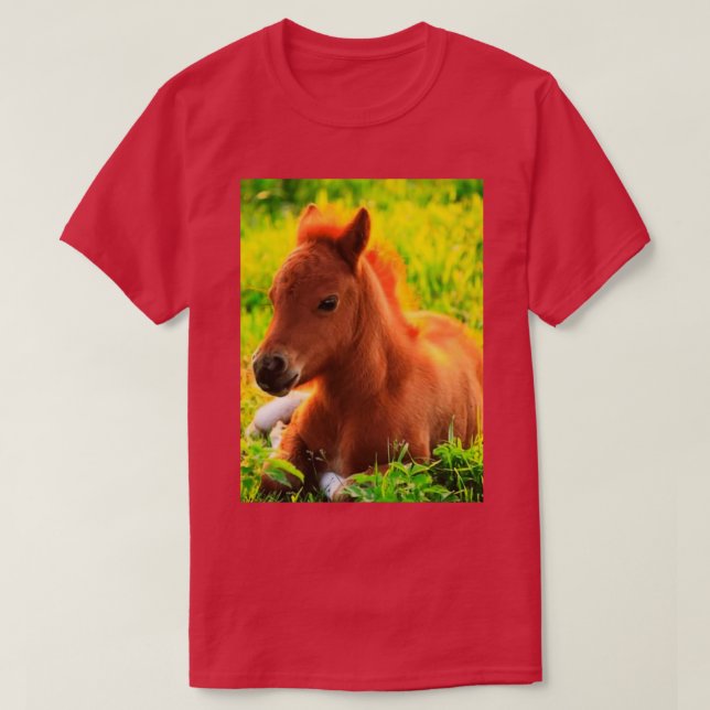 Camiseta Pony (Frente do Design)