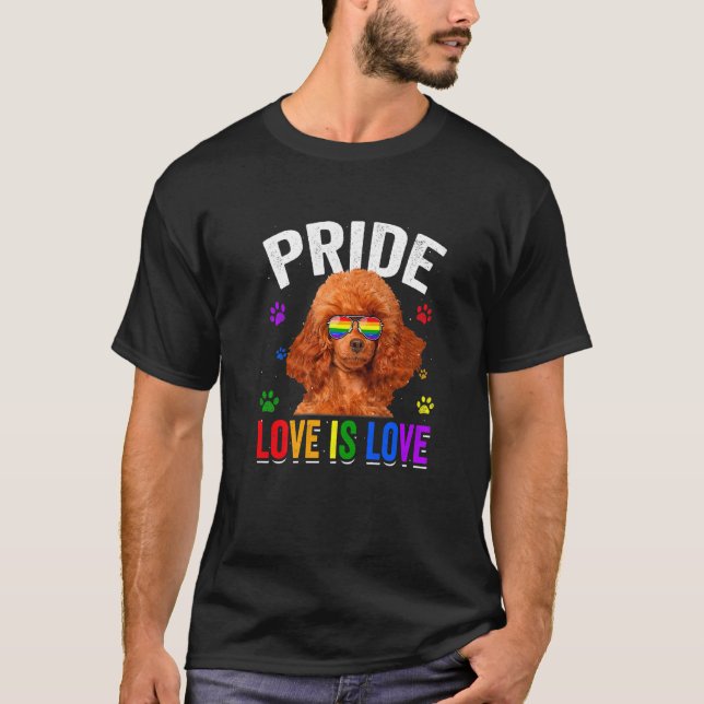 Camiseta Poodle Orgulho gay Lgbt - Painel de Sinalizador do (Frente)