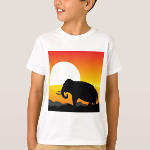 Camiseta Por do sol africano