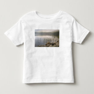 Camiseta Pôr do sol através do nevoeiro sobre a proteçã