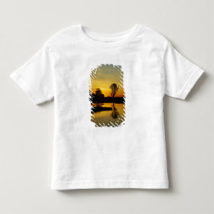 Camiseta Pôr do sol, Billabong Yellow Water
