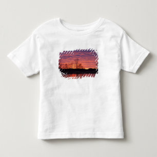 Camiseta Pôr do sol brilhante reflete no rio Calamus