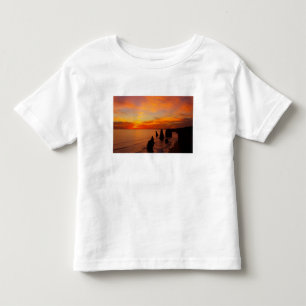 Camiseta Pôr do sol, Doze Apóstolos, Parque Nacional Port C