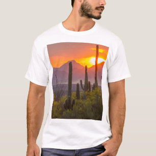 Camiseta Pôr do sol no cacto do deserto, Arizona