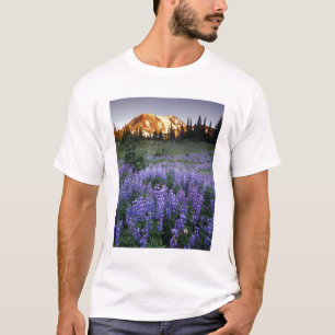 Camiseta Pôr do sol sobre o Mt. Adams e um prado subalpino