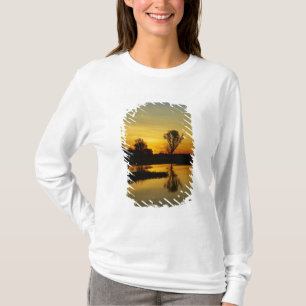 Camiseta Pôr do sol, Yellow Water Billabong