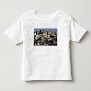 Camiseta Portugal, Porto (Porto). Casas históricas e