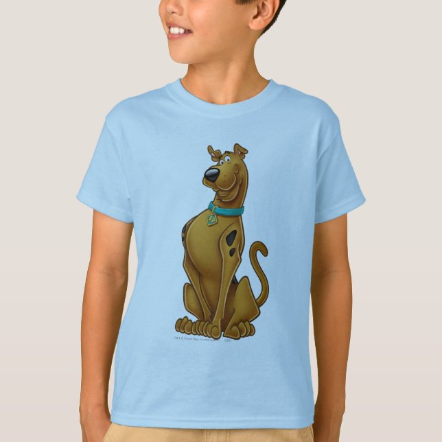 Camiseta Pose de Escovo de Ar Scooby-Doo (Frente)