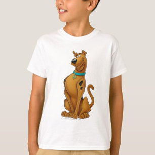 Camiseta Pose de Escovo de Ar Scooby-Doo