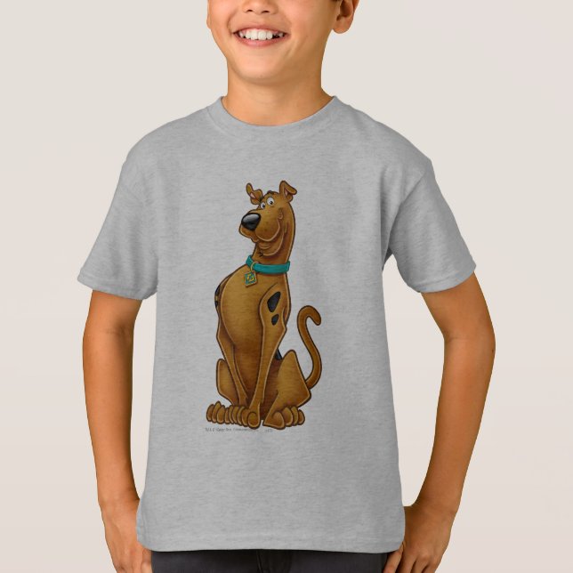 Camiseta Pose de Escovo de Ar Scooby-Doo (Frente)