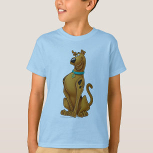 Camiseta Pose do Airbrush de Scooby-Doo