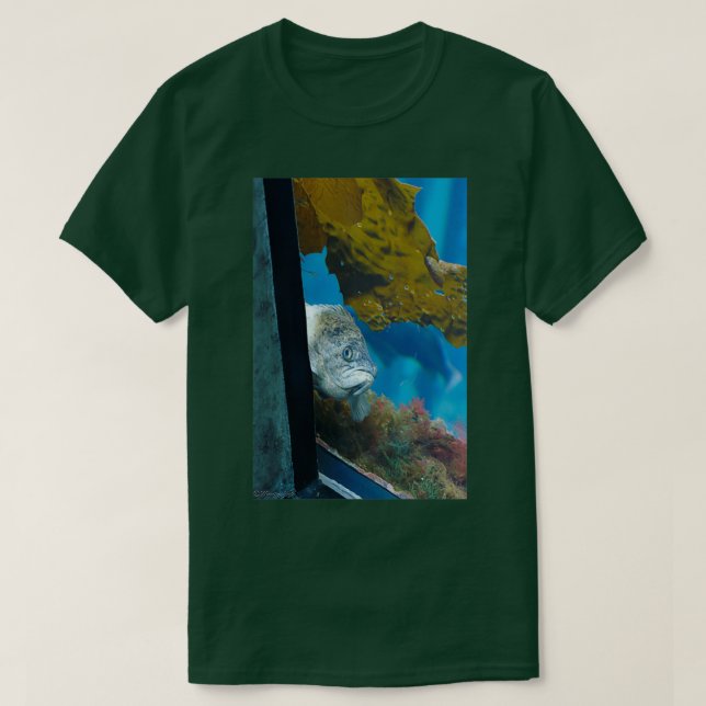Camiseta Posso ajudá-lo? (Frente do Design)