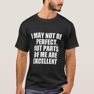 Camiseta Posso Não Ser Perfeito, Mas Partes De Mim São Exce