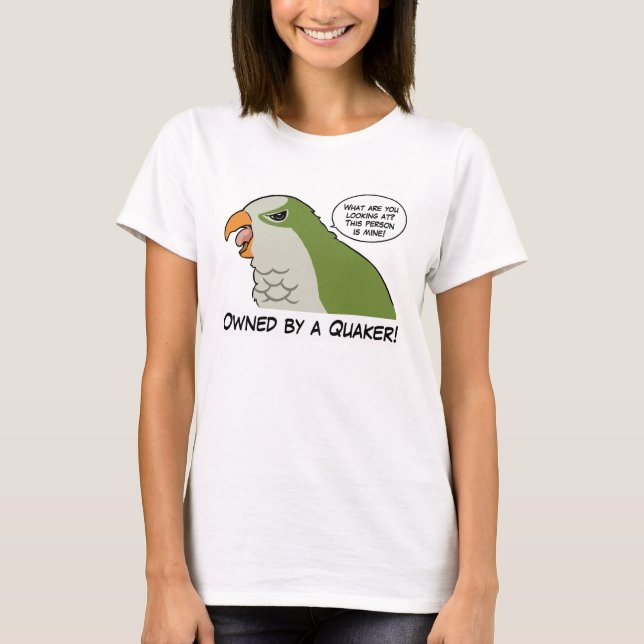 Camiseta Possuído por um quacre verde (Frente)