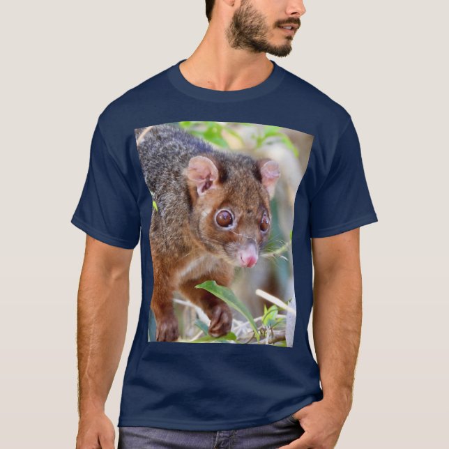 Camiseta Possum at Arkarra Lagoons gift (Frente)