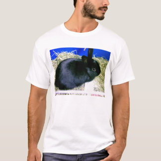 Camiseta Pouco coelho 2