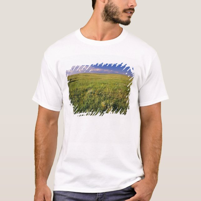 Camiseta Pradaria de Grama Curta no remoto nordeste (Frente)