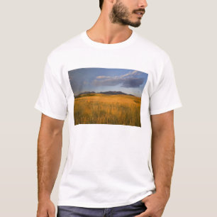 Camiseta Pradarias nas encostas dos