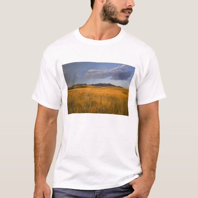 Camiseta Pradarias nas encostas dos (Frente)