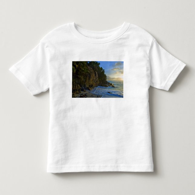 Camiseta Praia Ansi Victorin 2 (Frente)