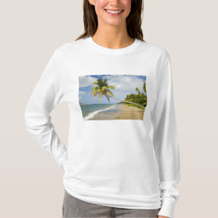 Camiseta Praia Coconut Grove na Baía de Cades, com St. 2