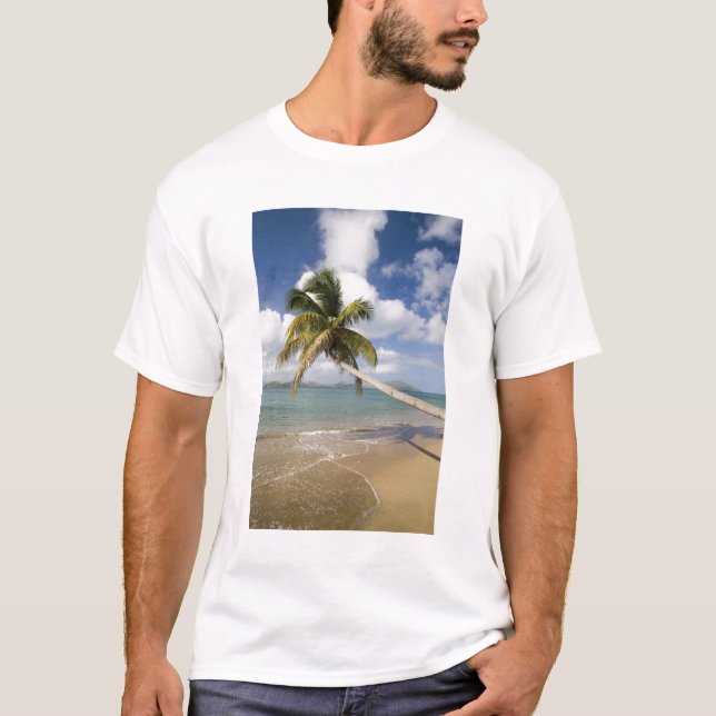 Camiseta Praia de Coconut Grove na Baía de Cades, com Ruas. (Frente)