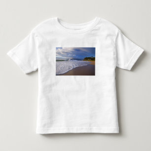 Camiseta Praia de Kihei, Maui, Havaí, EUA