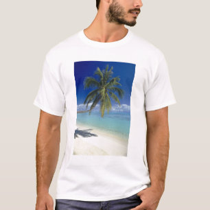 Camiseta Praia de Matira na ilha de Bora Bora, Sociedade