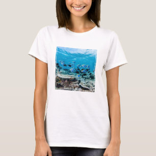 Camiseta Praias Tropicais Sturgeon Entre Coral