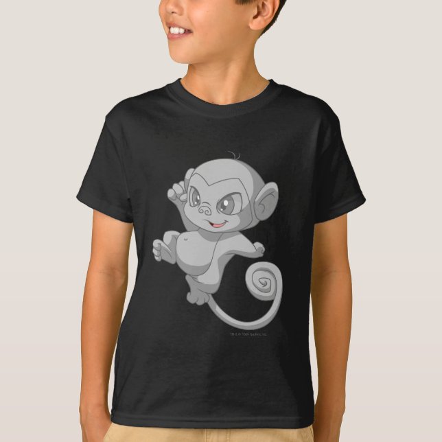 Camiseta Prata de Mynci (Frente)