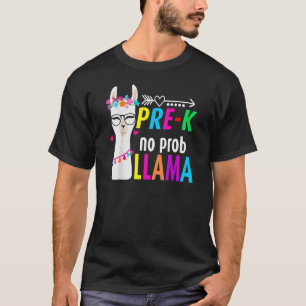 Camiseta Pré-K Jardim Infantil Sem Prob Lama Flor De Volta