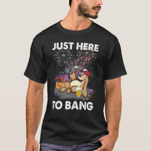 Camiseta Preguiça Está Aqui Para Estourar Fogos de Artifíci
