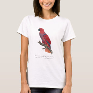 Camiseta Premiere variete du Grand Lori / Eclectus parrot