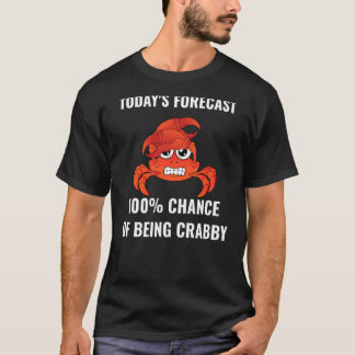 Camiseta Previsão de Hoje 100 Chances de Estar Irritadiço F