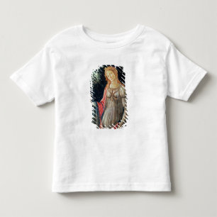 Camiseta Primavera, detalhe de Venus, c.1478