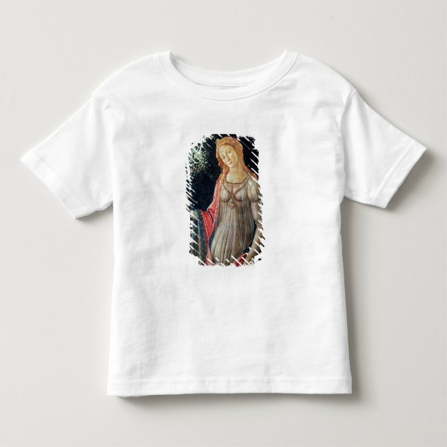 Camiseta Primavera, detalhe de Venus, c.1478 (Frente)