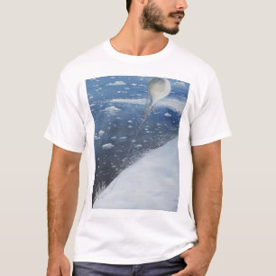 Camiseta Primeiro Aeronaut do capitão Scott a Antártica. 4o