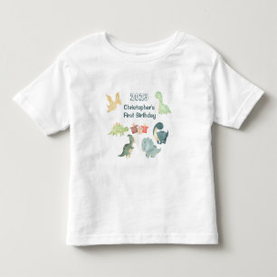 Camiseta Primeiro Aniversário Bebê Dinossauro Fofo Aquarela