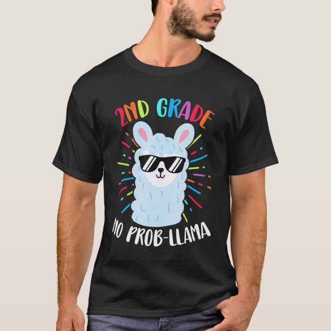 Camiseta Primeiro Dia De Aula Alpaca 2ª Série Sem  (Frente)
