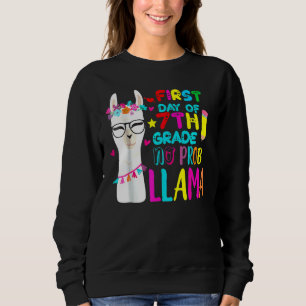 Camiseta Primeiro Dia De Professor Do 7º Ano Sem Problema L